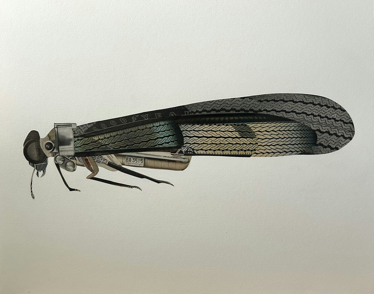 The Woodworker