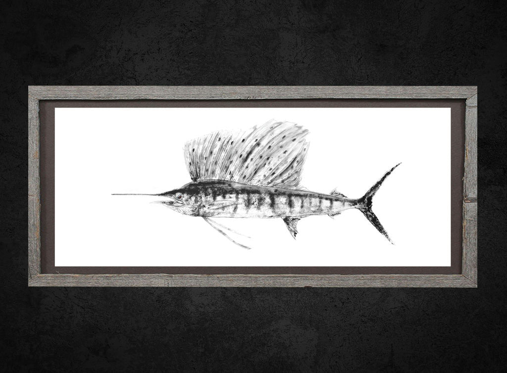 Sailfish Gyotaku