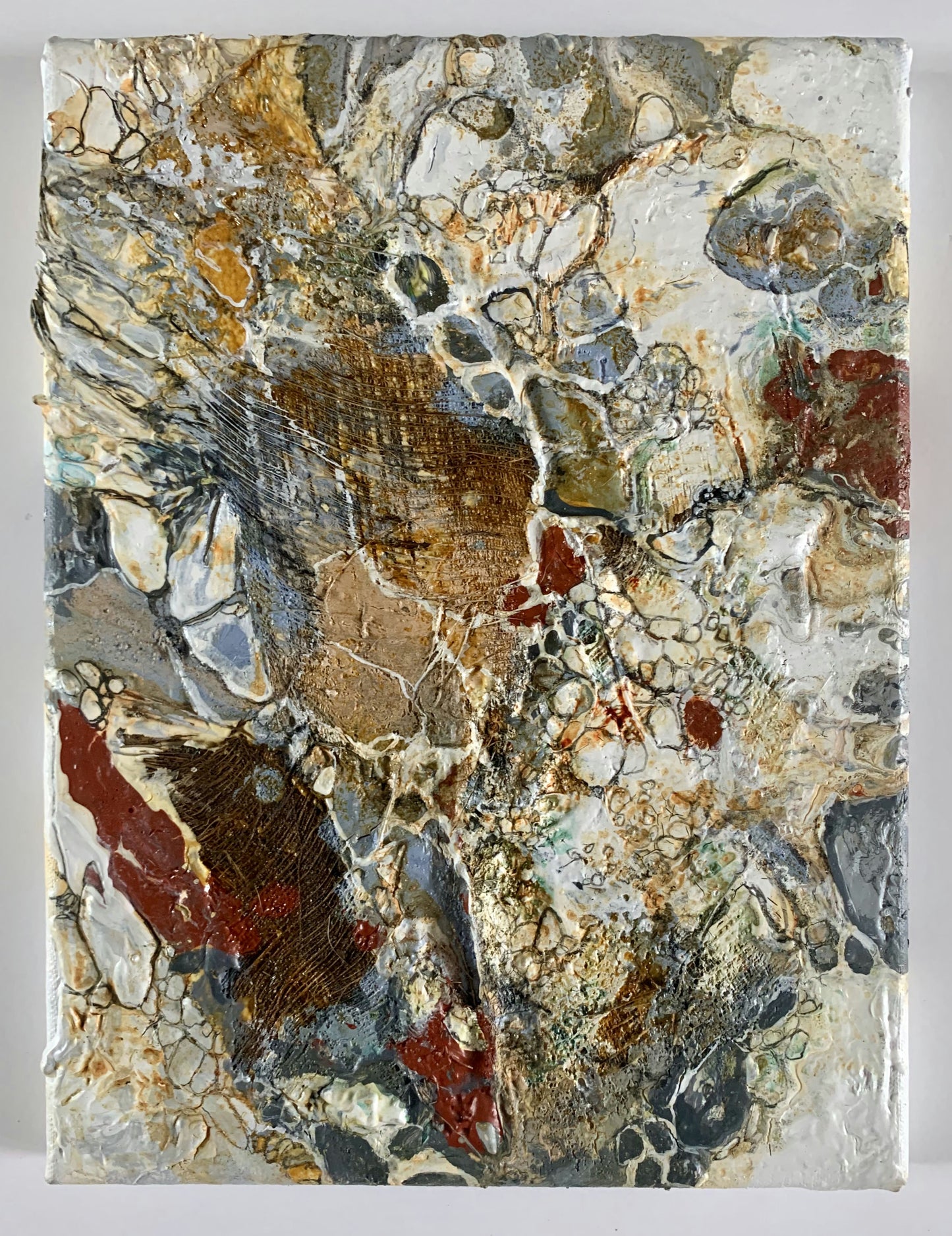 Tropical Erosion 79