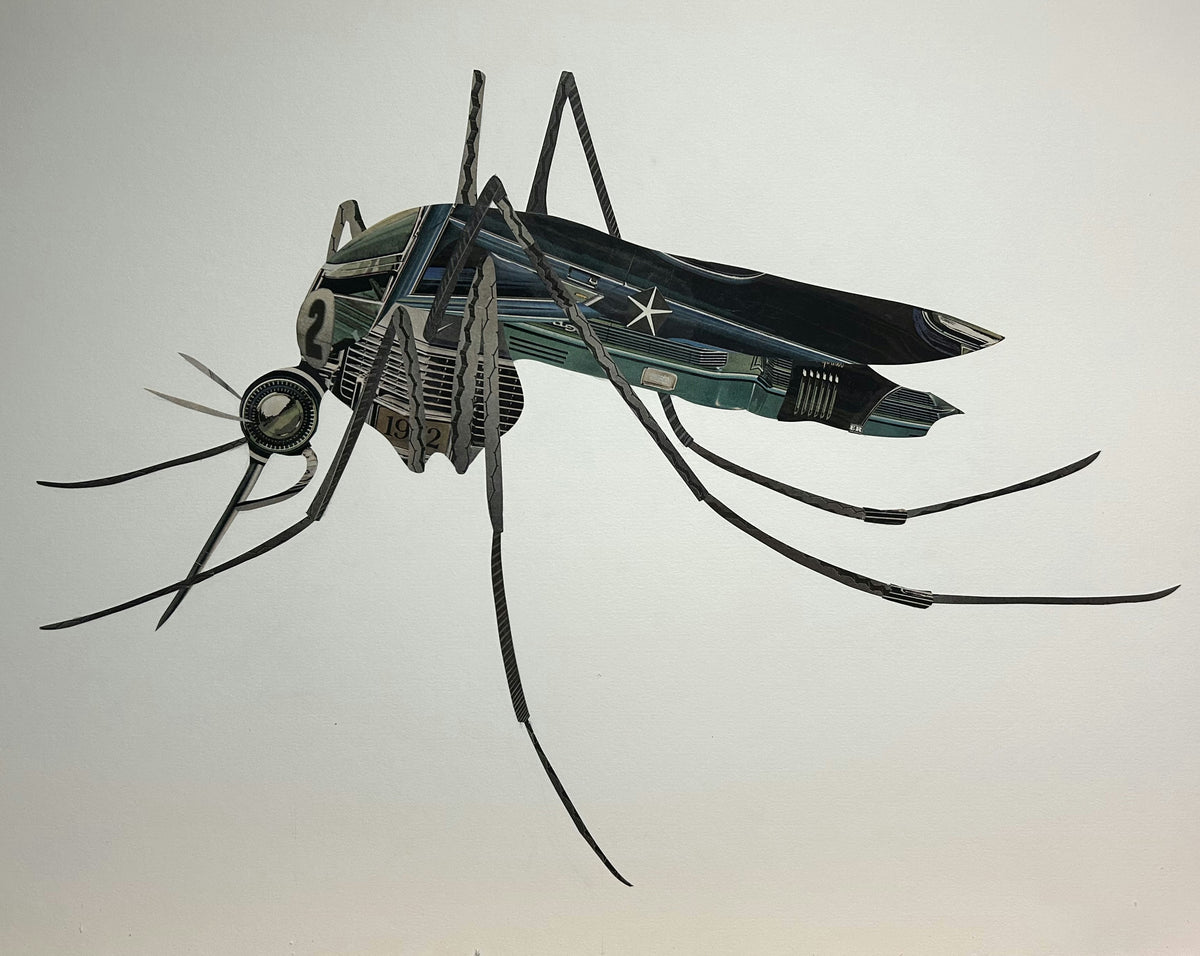 Mosquito