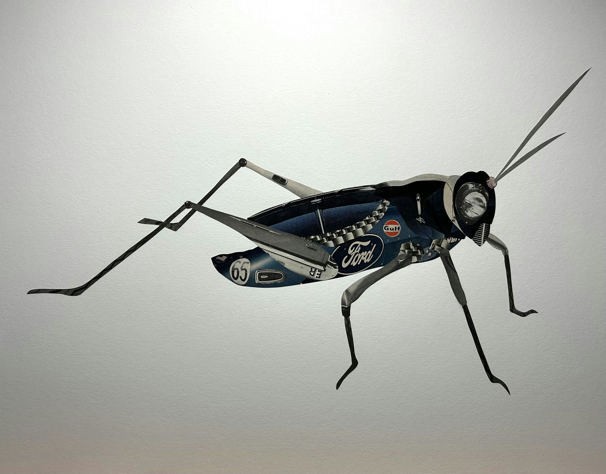 Locust GT