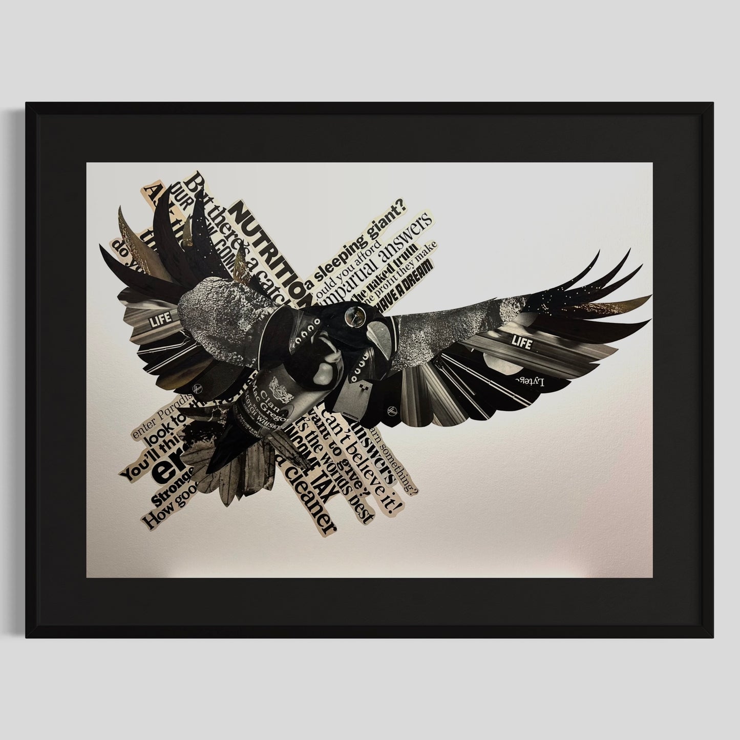 Send a Raven