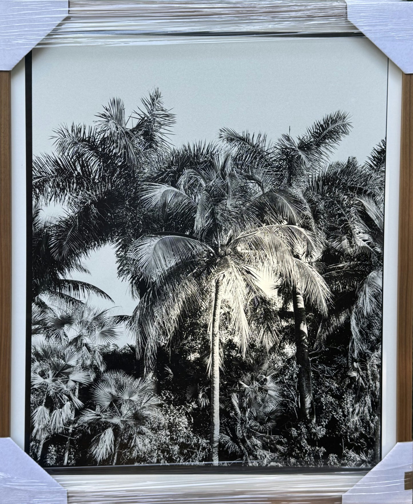 Palm Therapy
