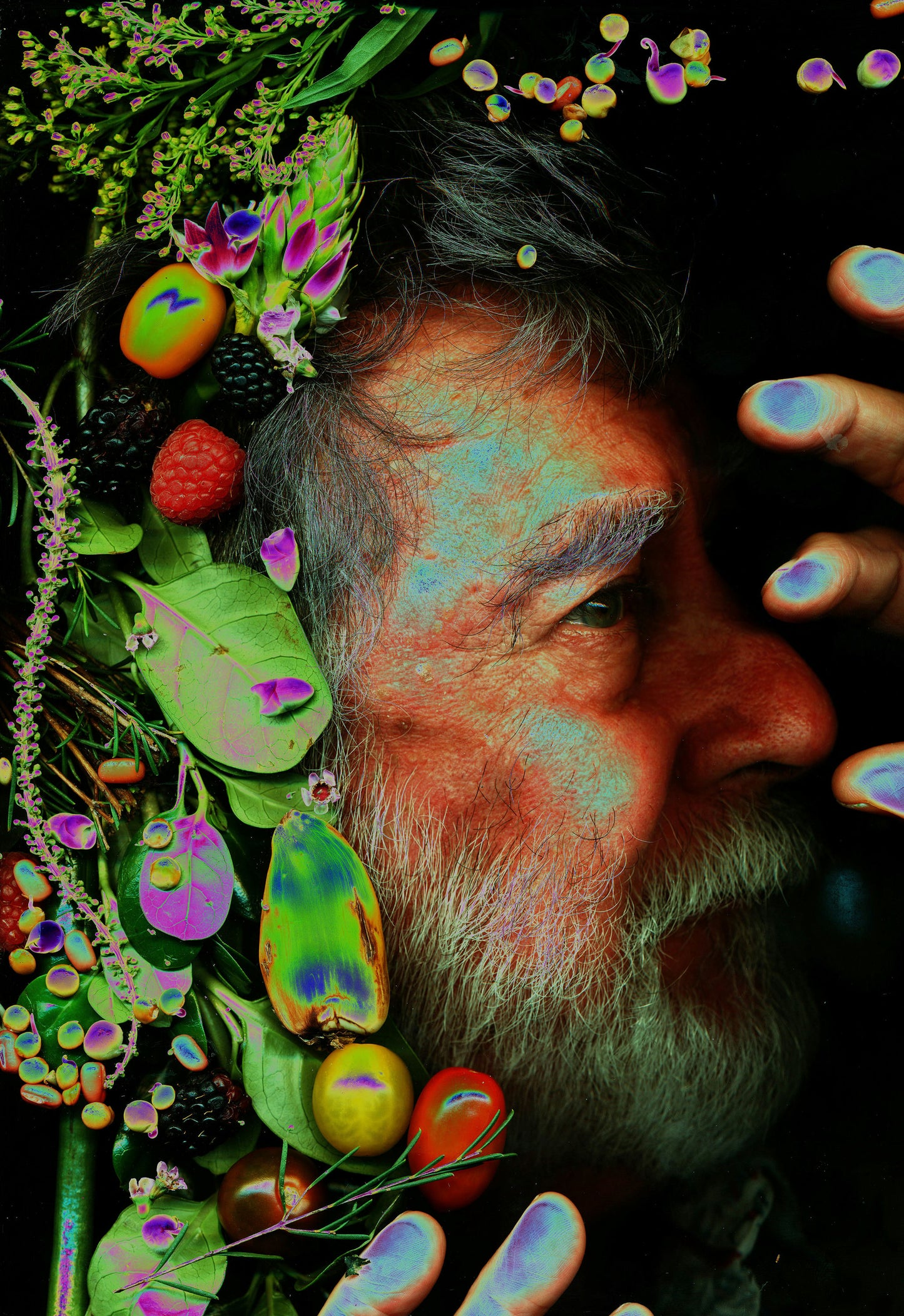 Jose Tonarely #11 Sol