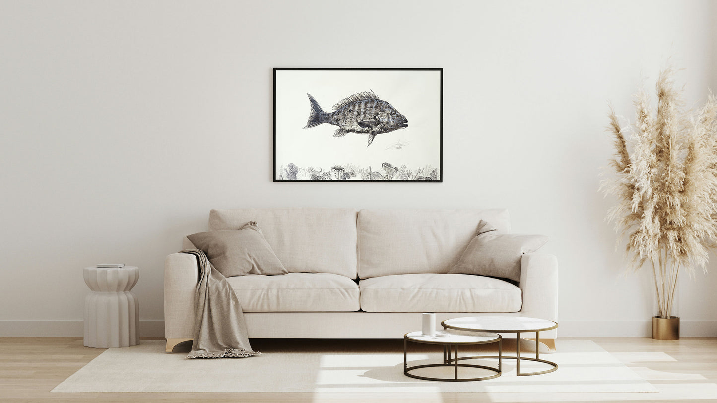 Mutton Over Coral