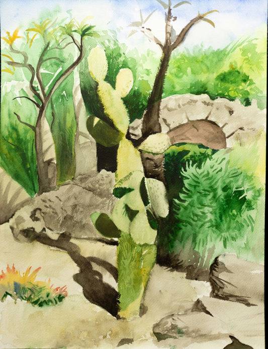 The sad cactus