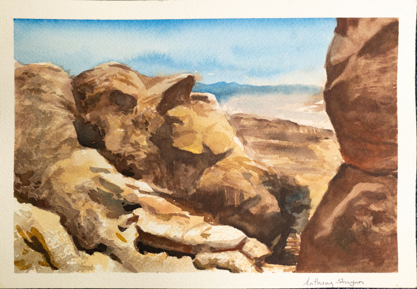 Landscape 3