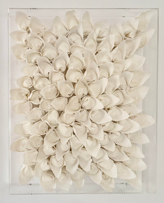 Tortellini
