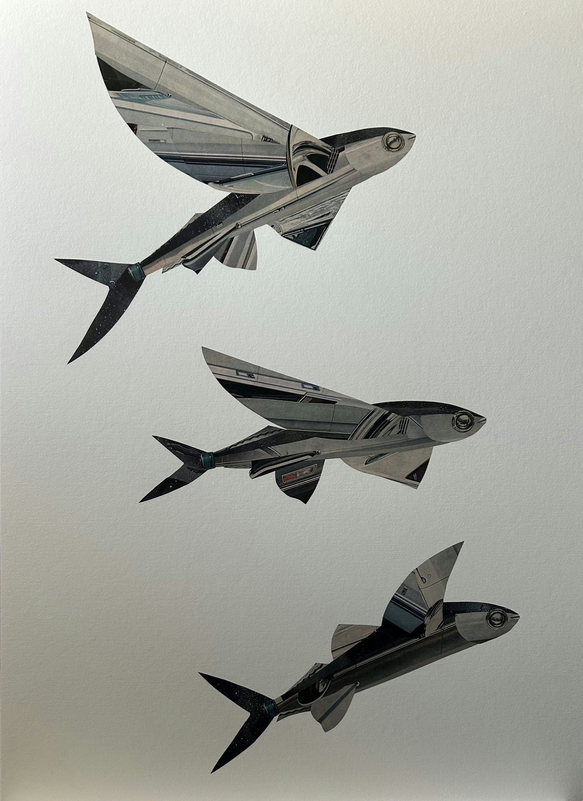 Fish Fly