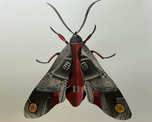 Crimson Moth